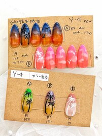 Y-4カラーバリエーション