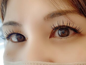 エフ(F...)/フラットラッシュ160本