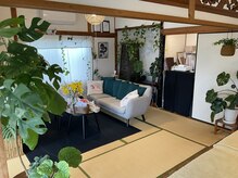 サーラ(SA-RA)の雰囲気（観葉植物がたくさんの落ち着いた店内♪）