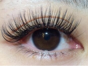 ティーラッシュ(T lash)/マツエク/アップワードラッシュ