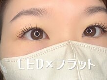 ロットネスト(ROTTNEST)/LEDフラットラッシュ１２０本