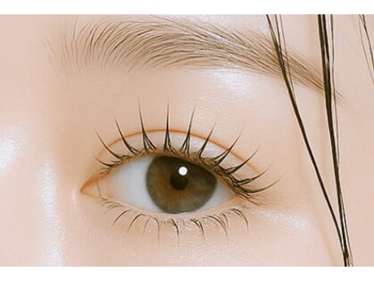 リノ(un Lino)の写真