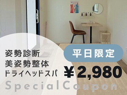 コンチ(KONCHI)の写真