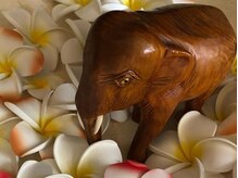 アジアンリラクゼーション ヴィラ 大橋店(asian relaxation villa)/プルメリアにいるエレファント