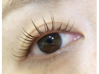 アフロデイーテ(Aphrodite)/Lash Lift