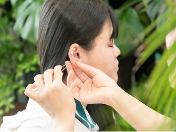 はなす/耳つぼ施術