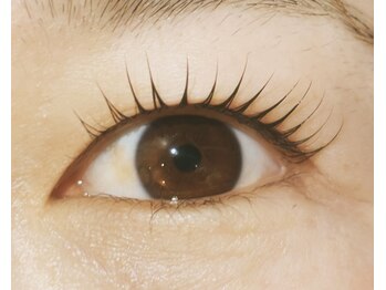 チオン アイラッシュ(CHION eyelash)/一重の方オススメデザイン