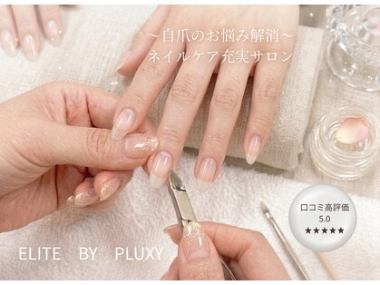 エリートバイプラクシーの写真