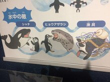 音観堂整体院/これも泣くペンギンです