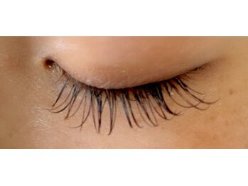 まつげちゃん☆ねいるちゃん/フラットラッシュ付け放題