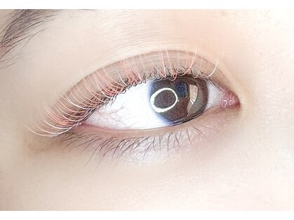 エイトミリオンズ(8000000 eight millions)の写真