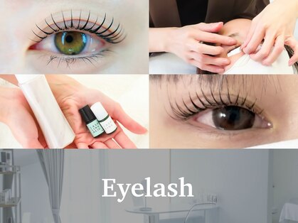 ロイ(ROI)の写真