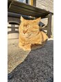 キロン(Chiron) 猫が大好きです