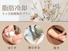 脂肪冷却+OPセット★本気痩せ３ヶ月集中プラン［B］★¥202,950→¥130,000