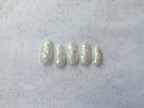 月替わりトレンドデザイン¥11000