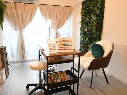 ジャングルケー(Jungle K)の写真