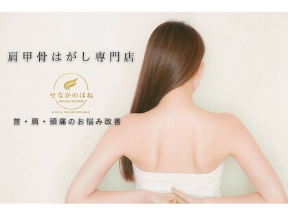 せなかのはね 井尻店の写真