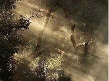 ガーデン 豊中(GARDEN.)/まつげパーマ/まつ毛パーマ/豊中