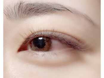 ハーゼ(Hase)/Flat color【ripe×purple】