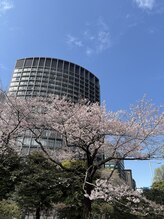 ルアナ 半蔵門(luana)/2026年桜