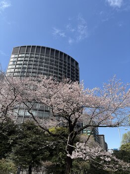 ルアナ 半蔵門(luana)/2026年桜