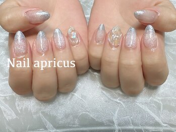 ネイルアプリクス 恵比寿(Nail apricus EBISU)/持込◆マグネットネイル ¥10690