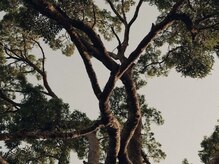 ガーデン 豊中(GARDEN.)/まつげパーマ/まつ毛パーマ/豊中