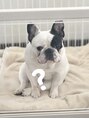 アイドット 大分店(i.)&nbsp;愛犬に溺愛中です＾＾