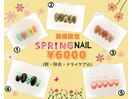 期間限定！Spring　NAIL