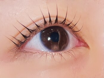アングゥ ギャラリー(ungu GALLERY)の写真/大人女性のこだわり空間。似合わせまつげパーマでメイク時短をサポートします！