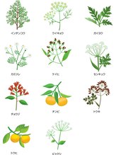 ヨサパーク エミリア(YOSA PARK Emiria)/11種類のハーブ