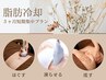 脂肪冷却+OPセット★本気痩せ３ヶ月集中プラン［C］★¥120,450→¥84,000