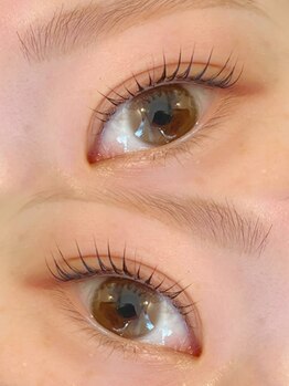 モカ 清澄白河(Moca)/パリジェンヌラッシュリフト