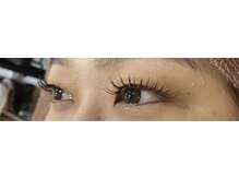 シルフ 石橋店(Sylph)/カシミヤ100本