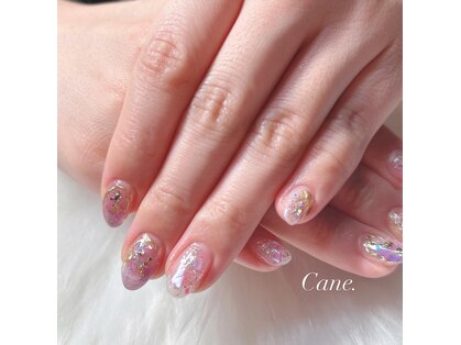 カーネ(Cane.)の写真