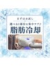 【まずはお試し】選べる1部位を集中ケア♪脂肪冷却
