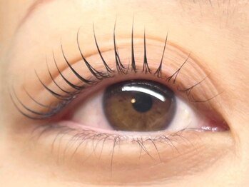 ハーク(haac)の写真/【似合わせデザイン80束(160本)7500→6000】上品なナチュラル感を残しつつ、ボリュームが出せる！