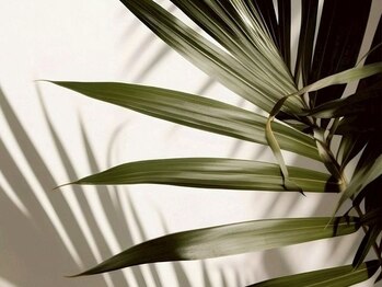 ガーデン 豊中(GARDEN.)/まつげパーマ/まつ毛パーマ/豊中