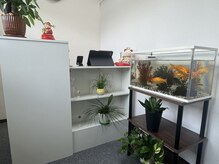 なごみの雰囲気（金魚も一緒にお客様をお出迎えします。）