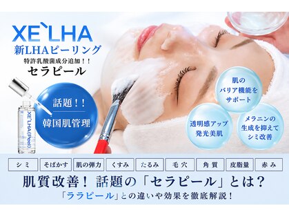 ツキ(thuki.)の写真