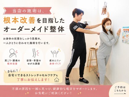 シマ(SHIMA)の写真