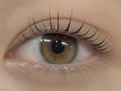 アンリ(Henri)の写真