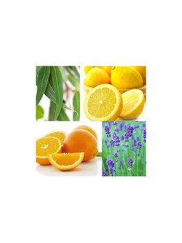 レディア 伊勢店(Re:Dear)/トリートメントのオイル