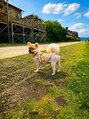 アンドネイルコロン(&Nail:) わんこ飼ってます!動物大好きです★