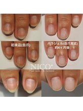 ニコプラス(NICO+)/パラジェルクリア補強