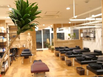 仙川の鍼灸整骨院/【整体】仙川の整骨院【矯正】