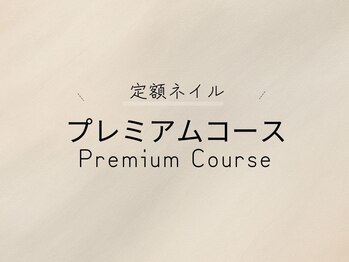 エクステ ネイル アイラッシュ サルサ グレイス 千葉店(SALSA GRACE)/定額【プレミアムコース】