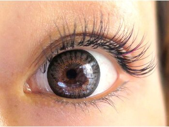 ジゼル 恵比寿本店(GIZELE)/セーブル昼割4980円！