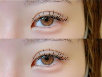 ソファー 吉祥寺(sofa)/フラットラッシュ100本 /吉祥寺