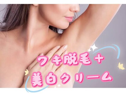 ブルーローズ(BLUE ROSE)の写真